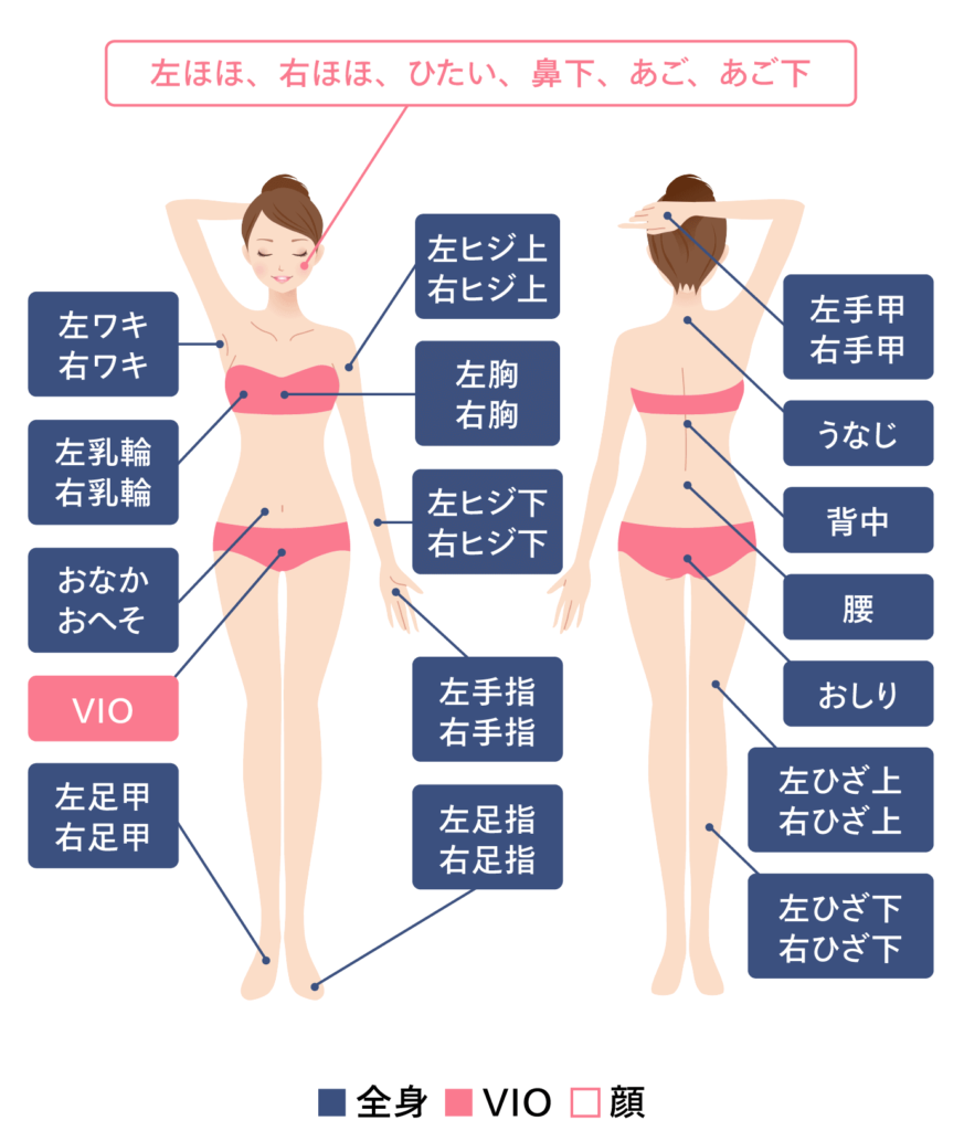 レジーナクリニック部位