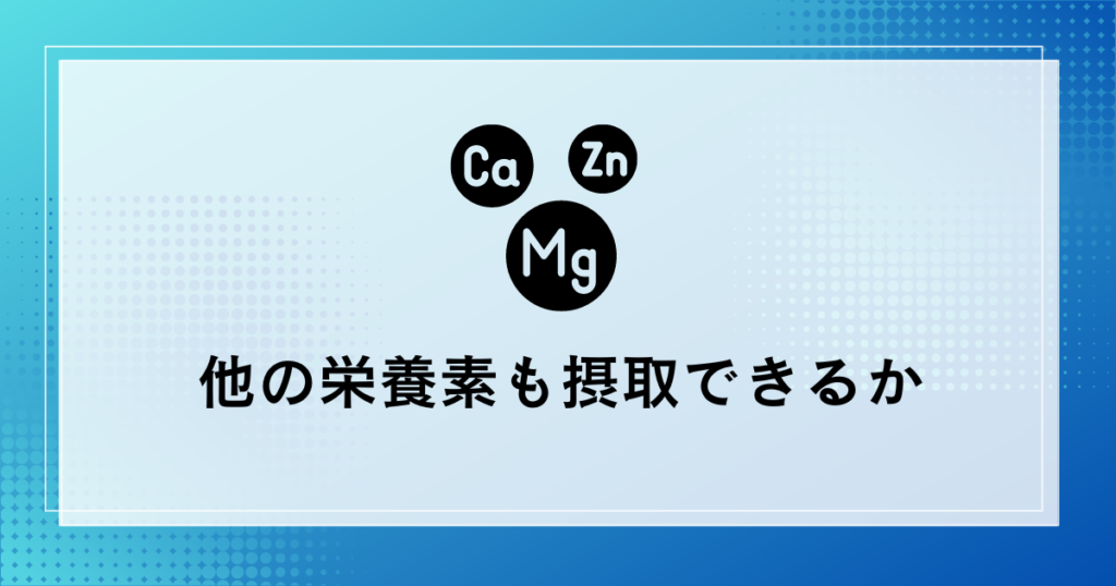 選び方2