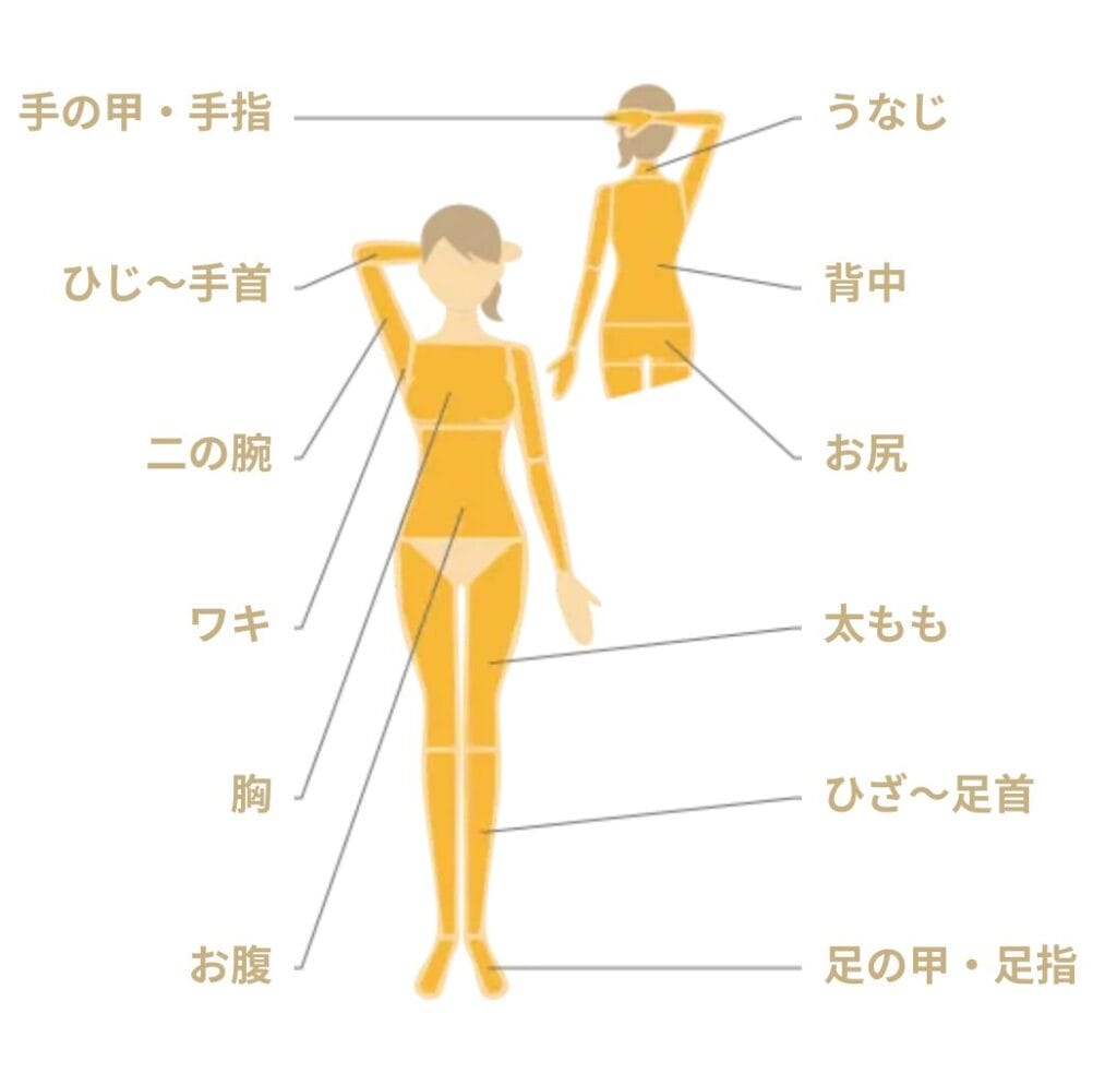 リゼクリニック全身