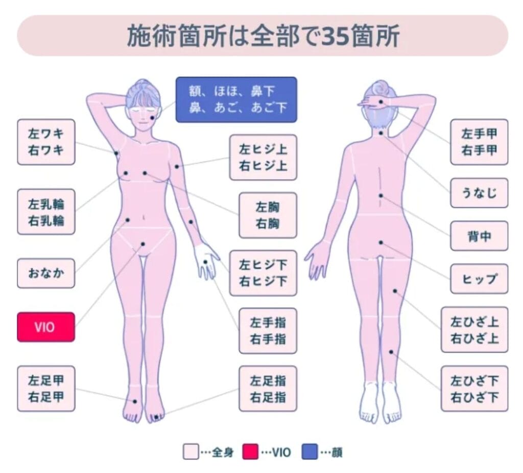 フレイアクリニック部位