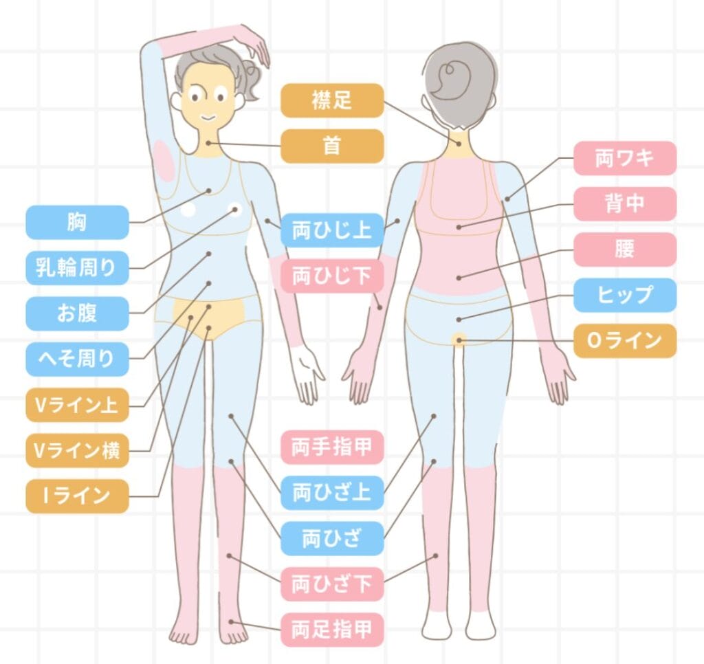 ルシアクリニック部位