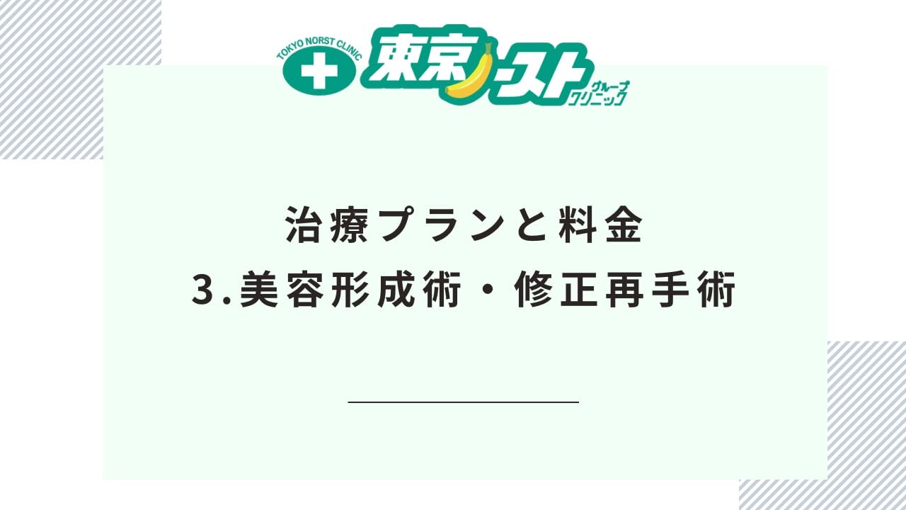 治療プランと料金 3.美容形成術・修正再手術